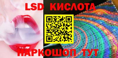 стаф Владимир