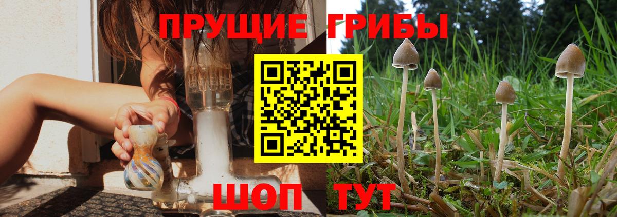 Псилоцибиновые грибы GOLDEN TEACHER Астрахань