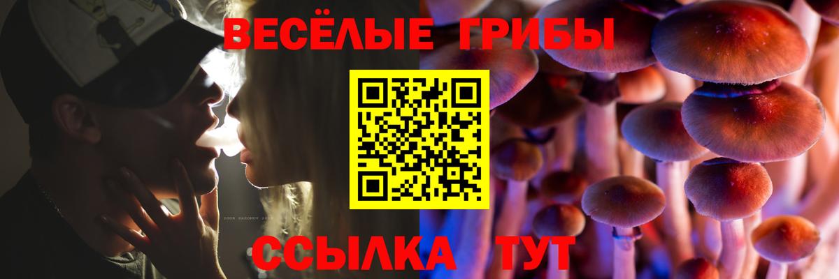 Астрахань  Галлюциногенные грибы мухоморы  Вход с VPN 